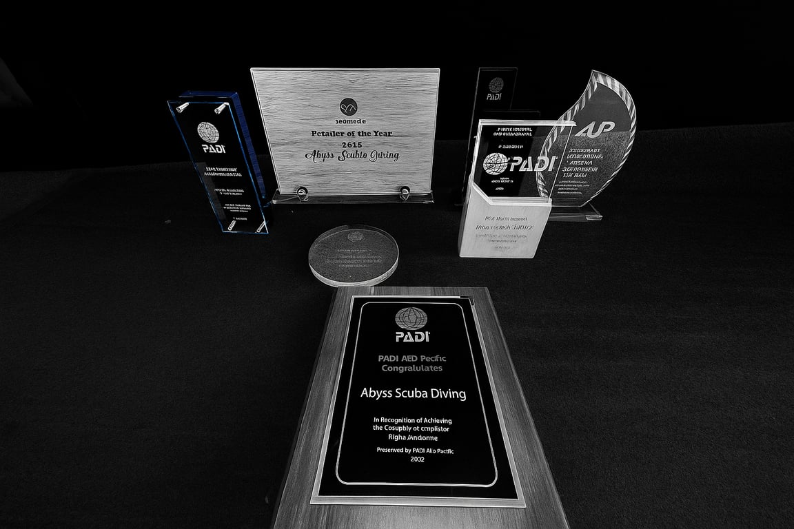 Abyss Awards Display