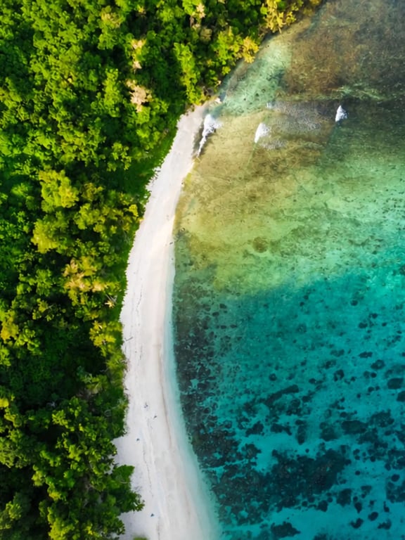 Aerial view of Vanuatu beach and clear tropical water