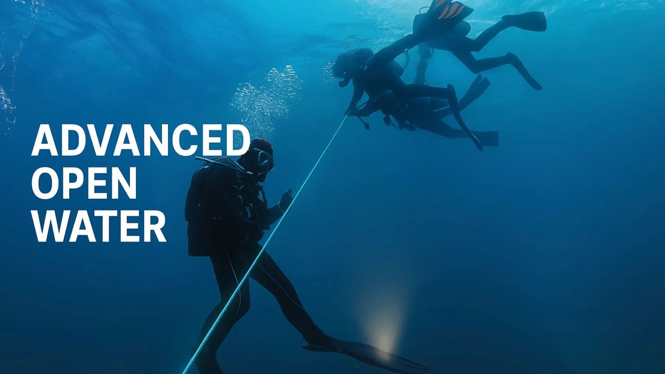 Advanced divers exploring Sydney’s underwater world