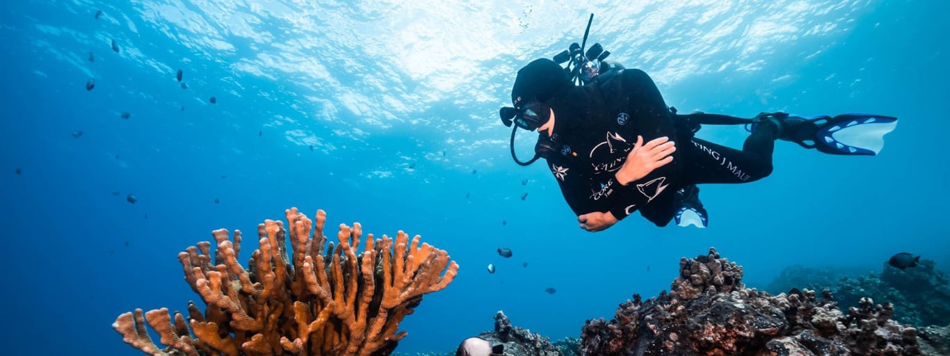 Scuba diver swimming underwater in clear blue water