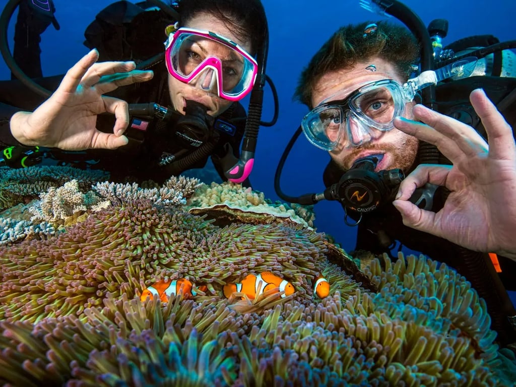 Great Barrier Reef and Coral Sea liveaboard diving