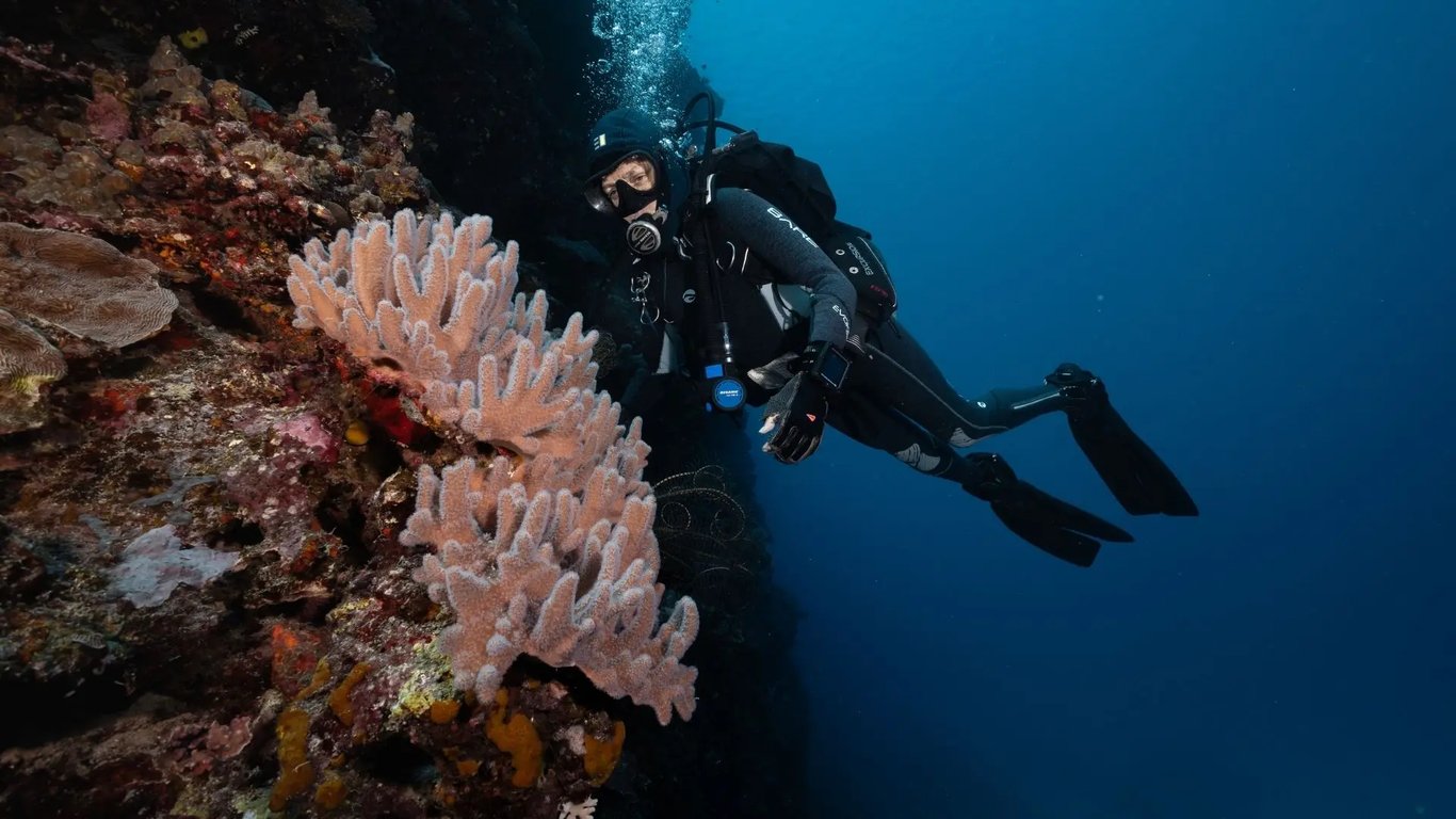 Scuba diver hovering beside a coral-covered wall at Paul's Rock, Vanuatu