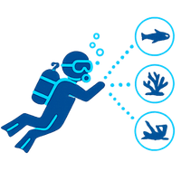 Find your next dive icon