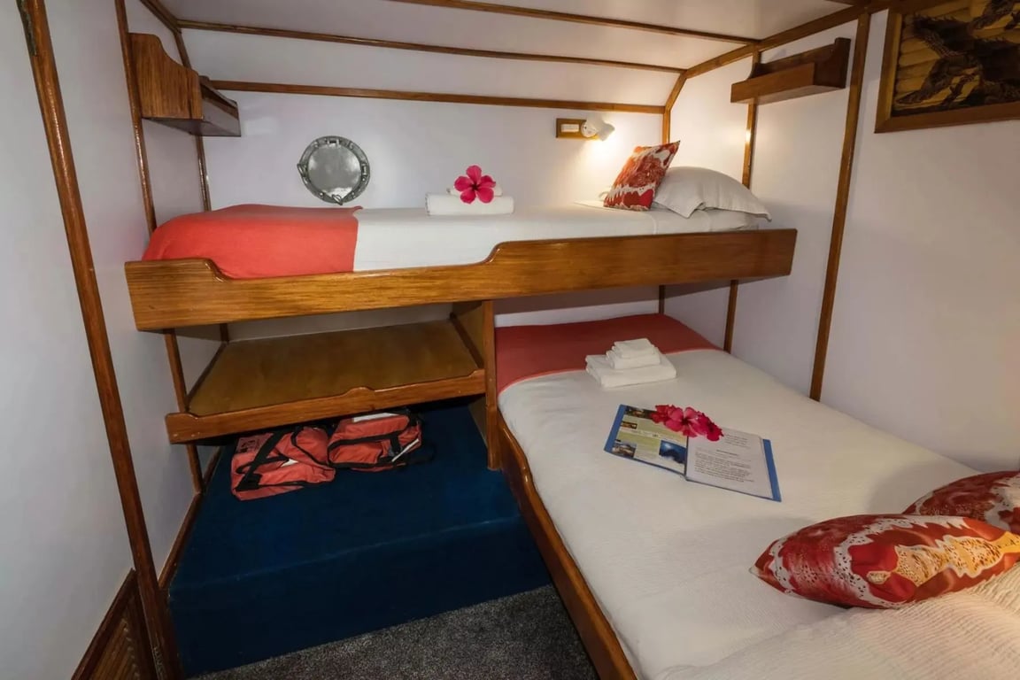 MV FeBrina cabin layout