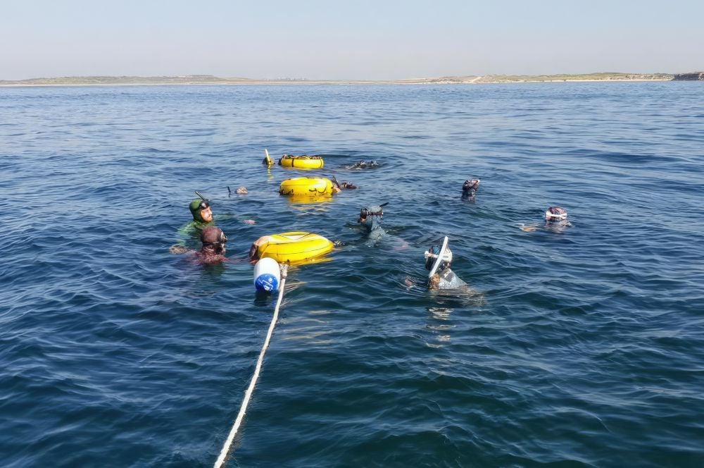 A group of freediving students is gathered at the surface floats, waiting their turn.