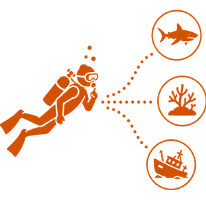 Find your perfect dive icon