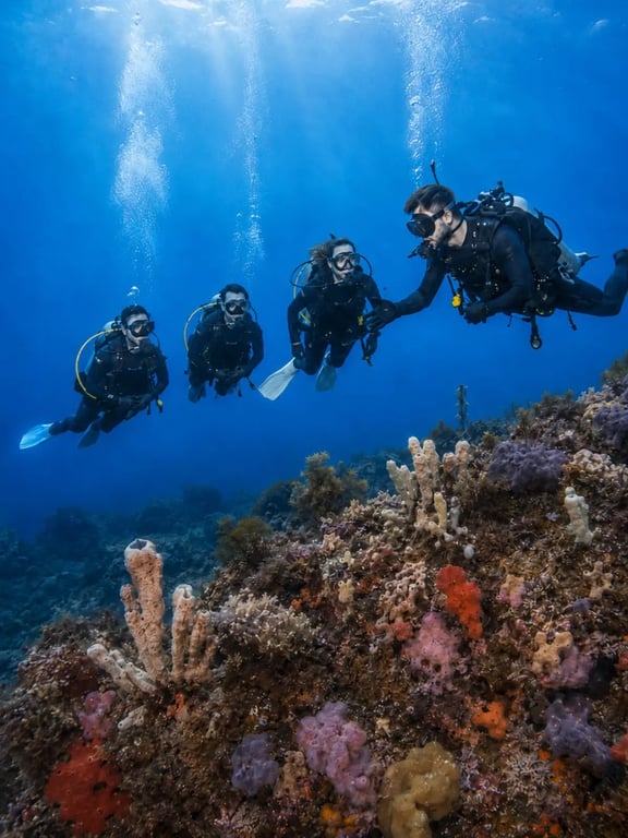Abyss divers progressing together over a Sydney sponge reef