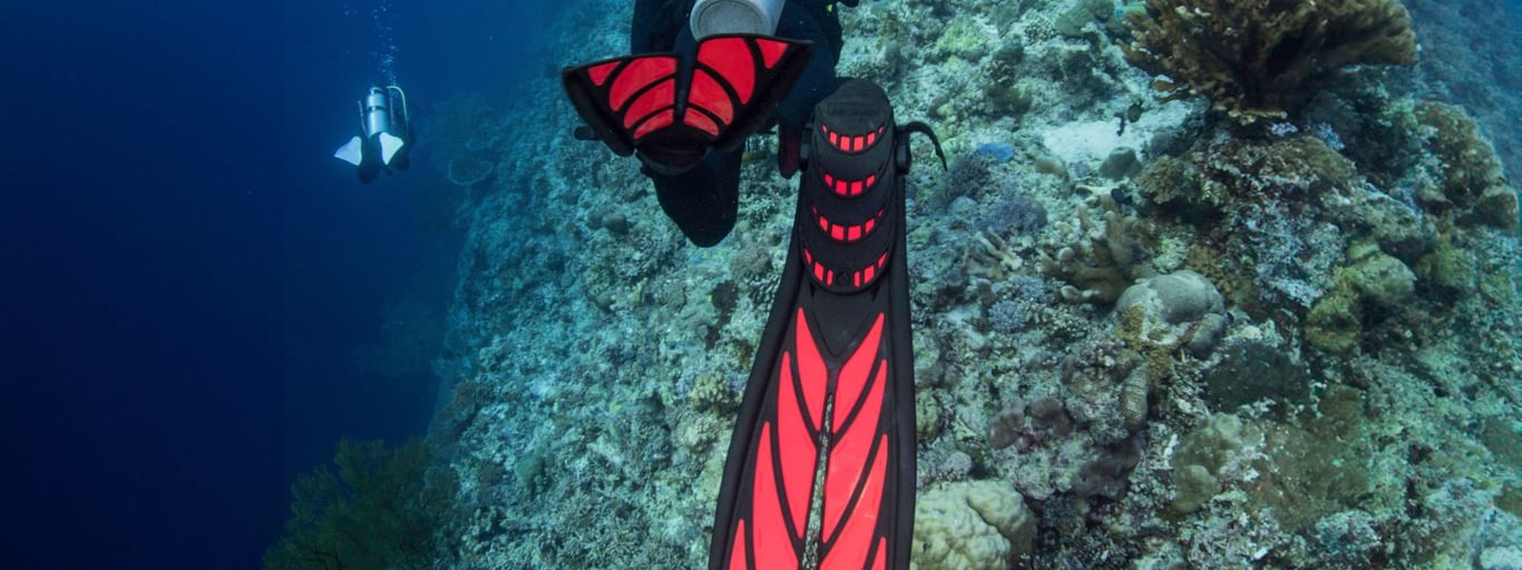 Dive Fins for Scuba Diving – Atomic Split Fins