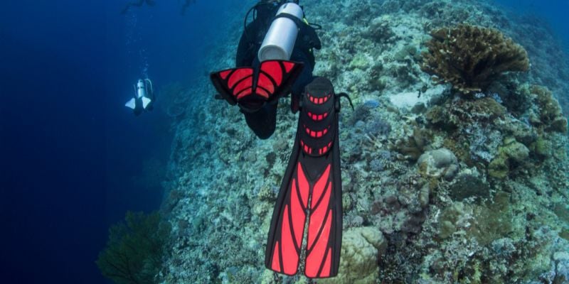 Atomic Split Fins – Comfortable, Efficient Kick