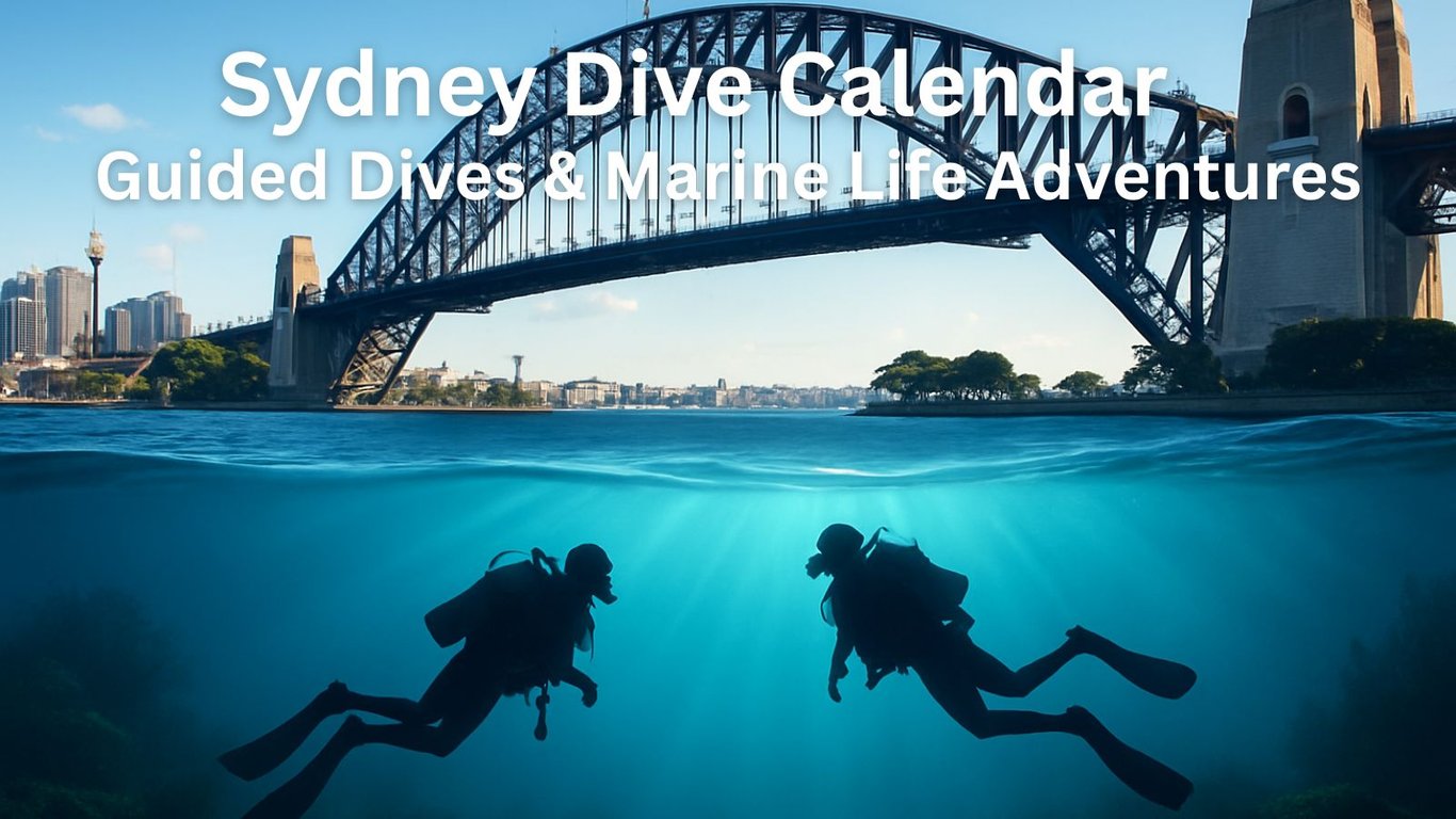 Sydney Dive Calendar – Guided Dives & Marine Life Adventures