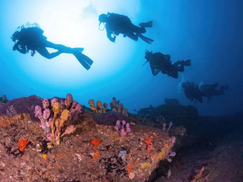 New diver joining a supported dive community
