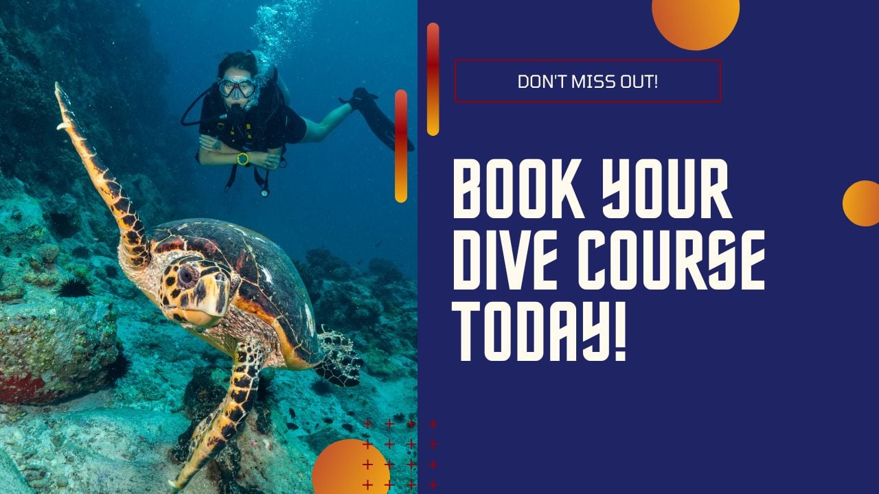 Book your learn to dive course today