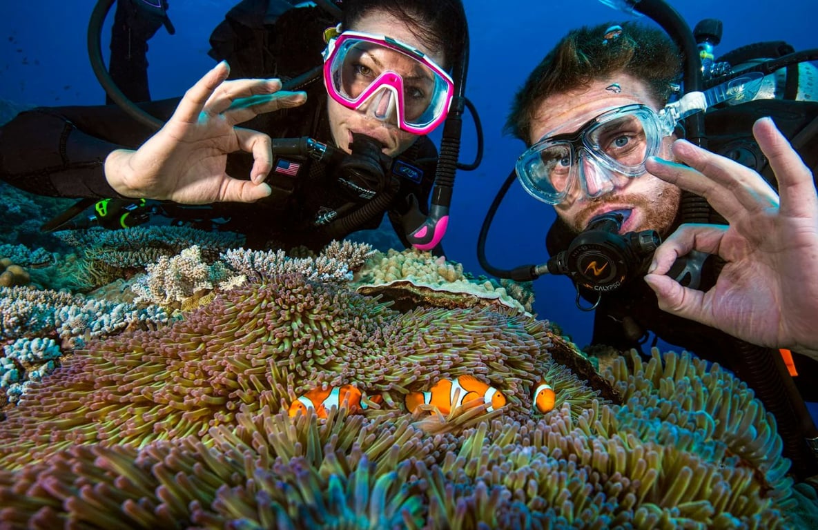 Two scuba divers are underwater, demonstrating proper buddy safety protocols, ensuring each other's safety while exploring the marine life around them. This scene emphasizes the importance of teamwork and communication in diving, whether in scuba diving or freediving courses.