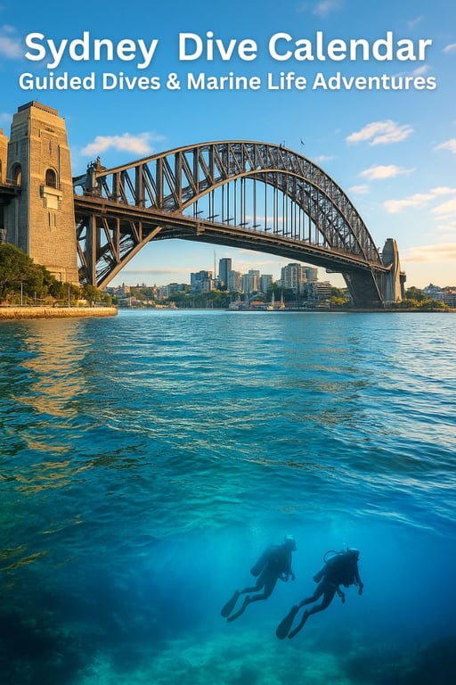 Sydney Dive Calendar – Guided Dives & Marine Life Adventures