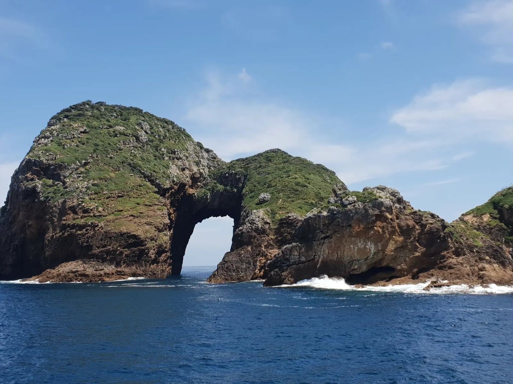 Poor Knights Islands caves arches and temperate reef diving