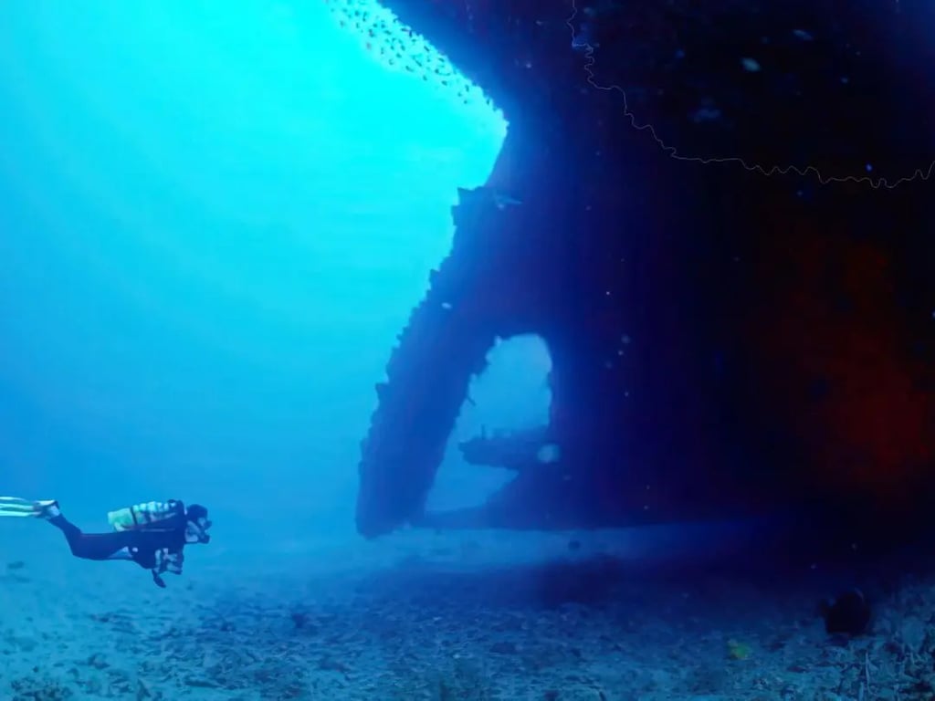 Divers exploring tropical waters on a liveaboard trip