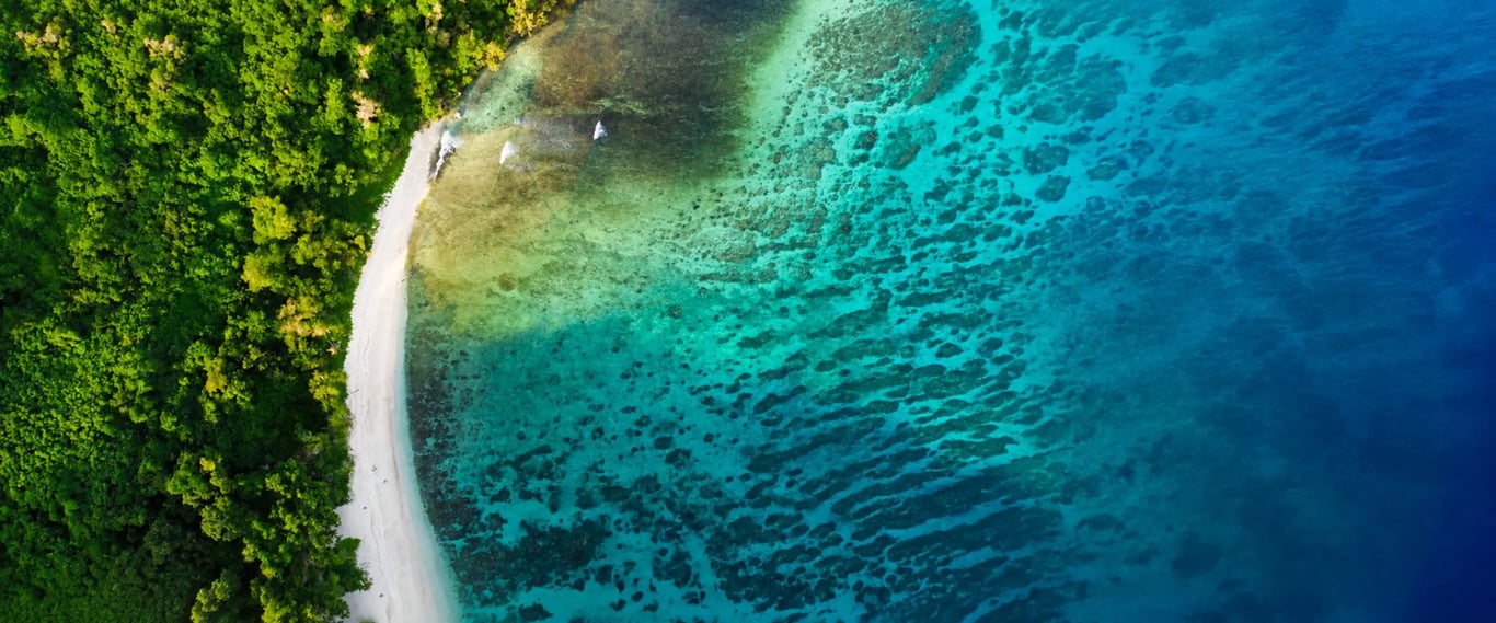 Aerial view of a tropical Vanuatu beach, clear water and coral reef