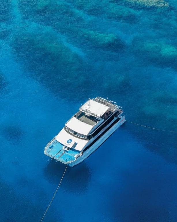 MV Spoilsport – mobile hero