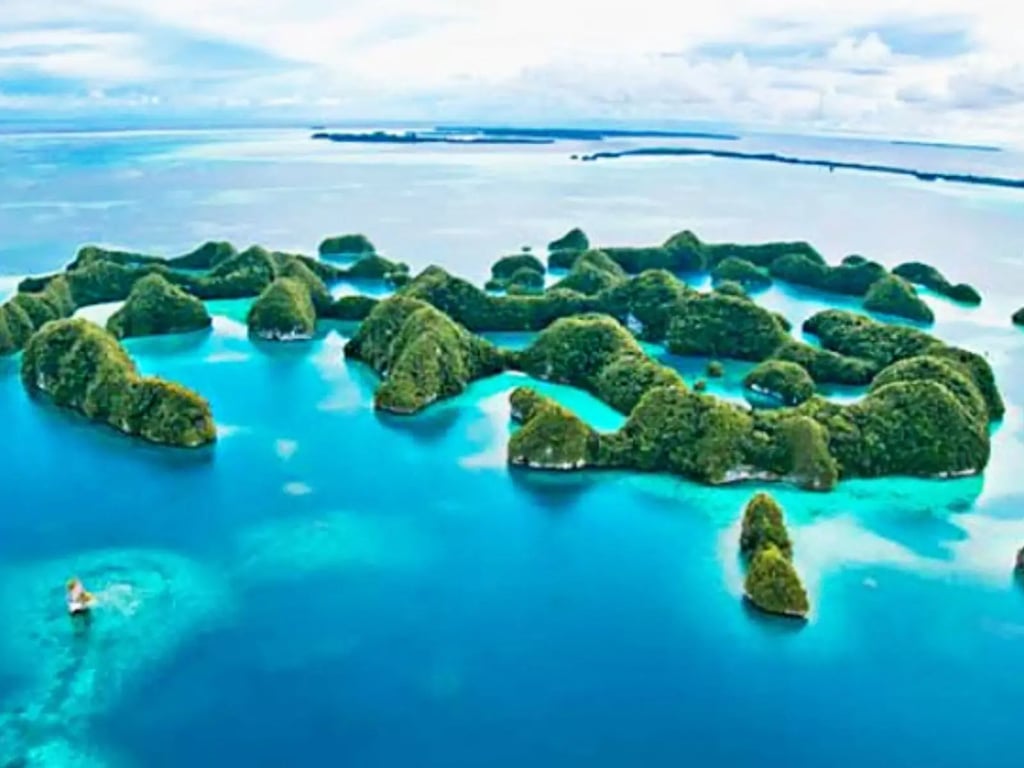 Palau channel and reef diving with sharks and big-fish action