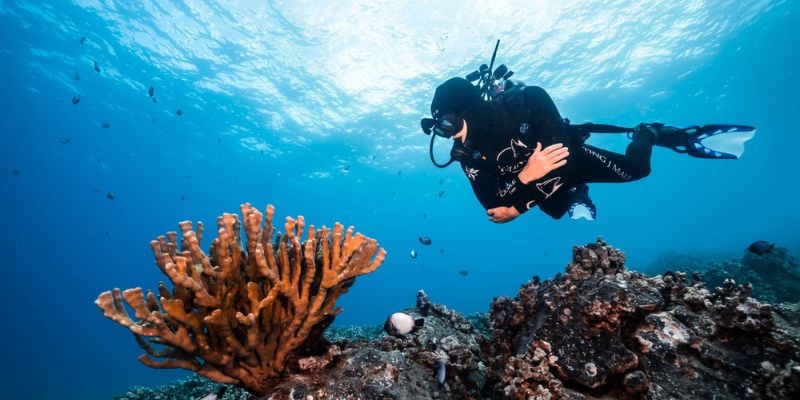 Scuba diver swimming underwater in clear blue water