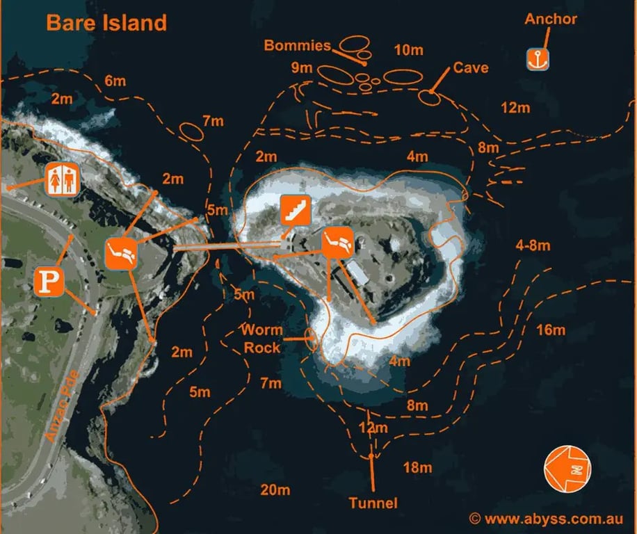 Bare Island dive-site map showing depth contours, reef, Worm Rock, bommies, cave, tunnel and anchor