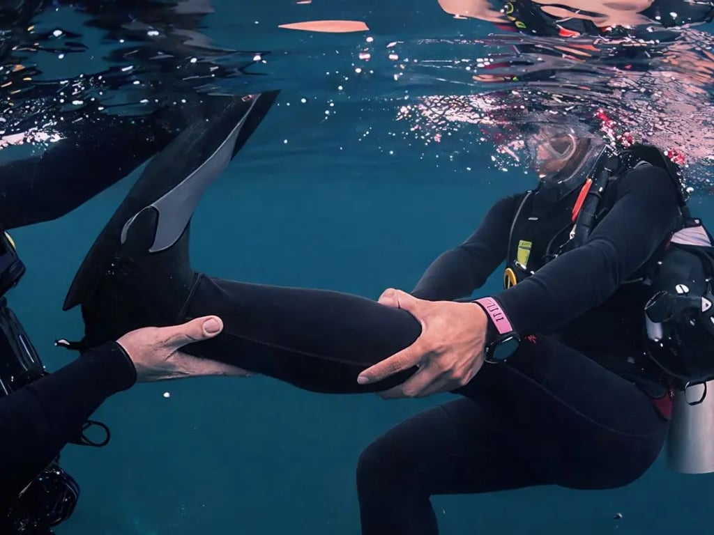 Divers practising rescue skills