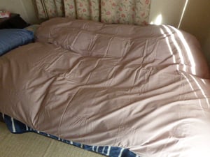 ふとん ホワイトプリンセス®マザーダック ダウン93% 軽量タイプと