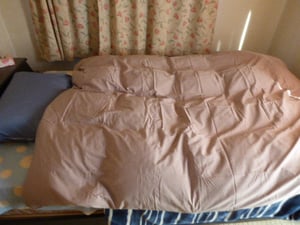 ふとん ホワイトプリンセス®マザーダック ダウン93% 軽量タイプと