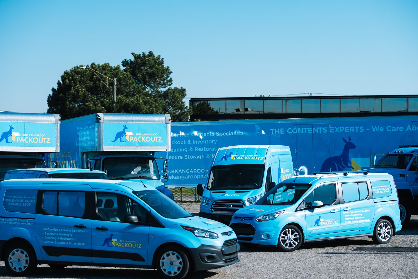 Blue Kangaroo Packoutz of Encino and Ventura project photo