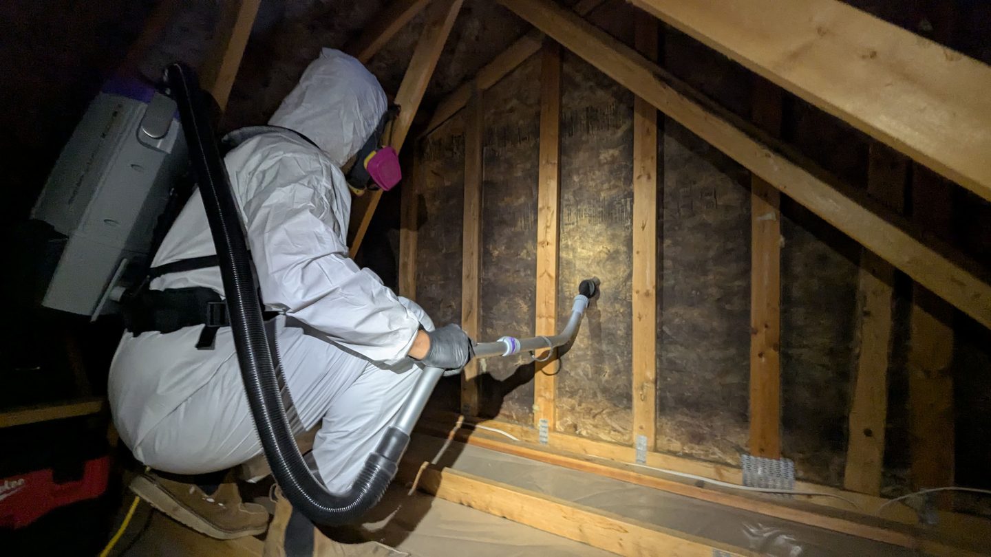 Swift Response Restoration project photo