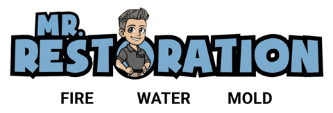 Mr. Restoration logo