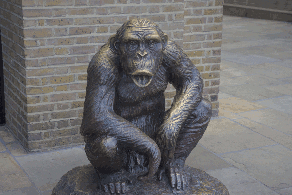 A few of the 18 metal statues of primates.