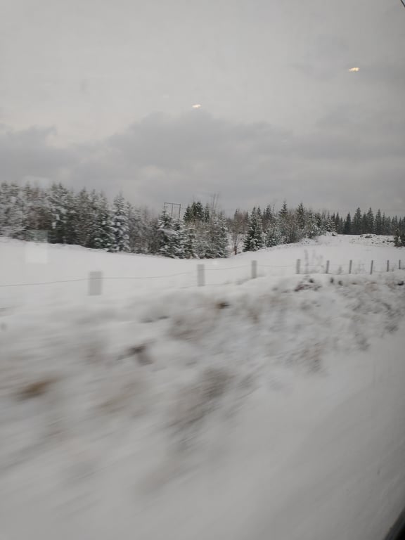 The countryside of Sweden