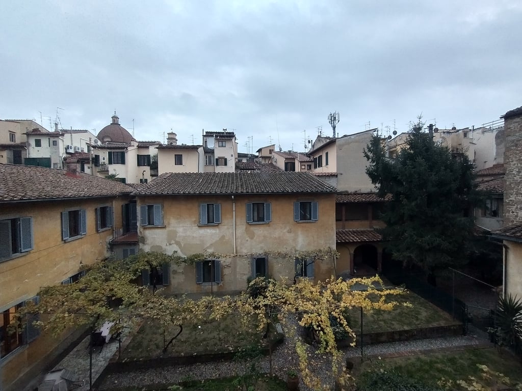 The many rooftops above the crowded buildings.