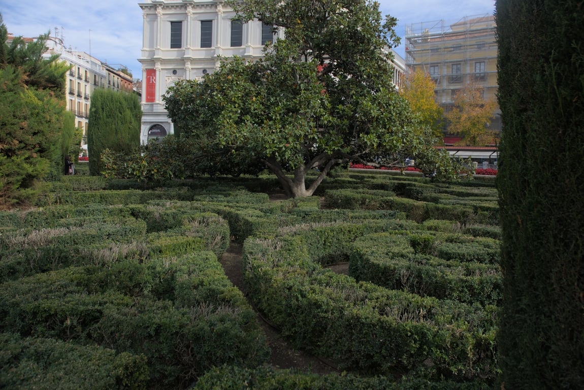 A small hedge maze
