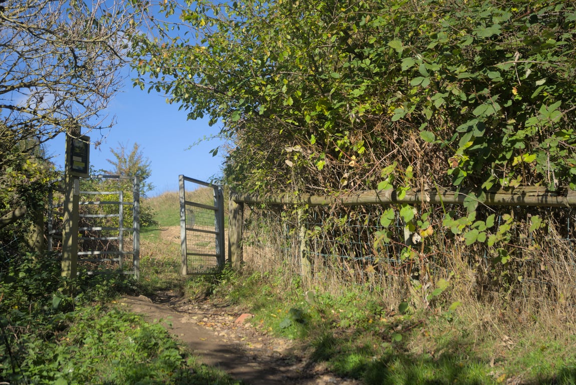 A gated forest path