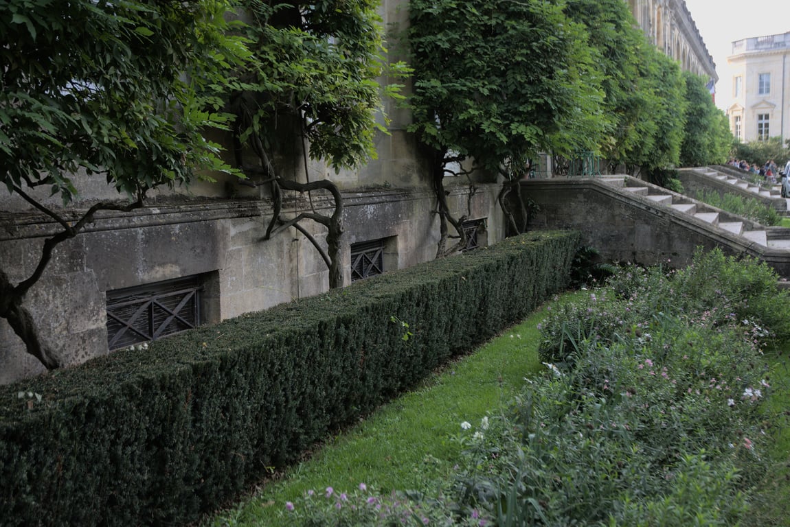 A hedge and some small trees bordering a stone wall