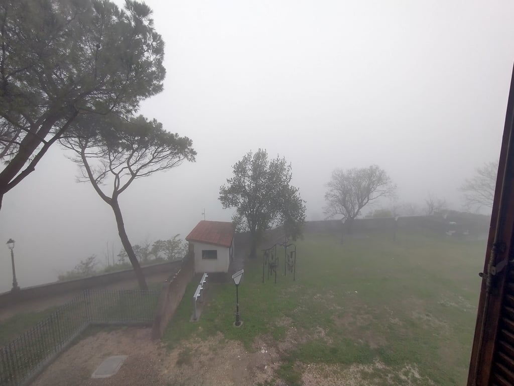 Thick fog rolling across the mountain in the morning