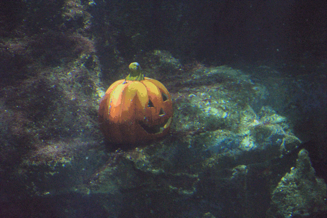 Submerged Halloween decorations in the aquarium