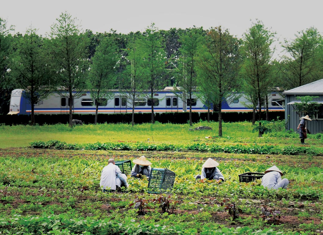 精舍農禪一甲子，自力耕作，供養日常。