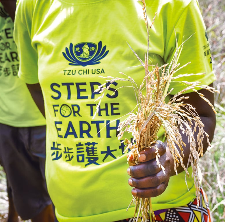 各項夥伴合作、援助與人才培育等計畫。