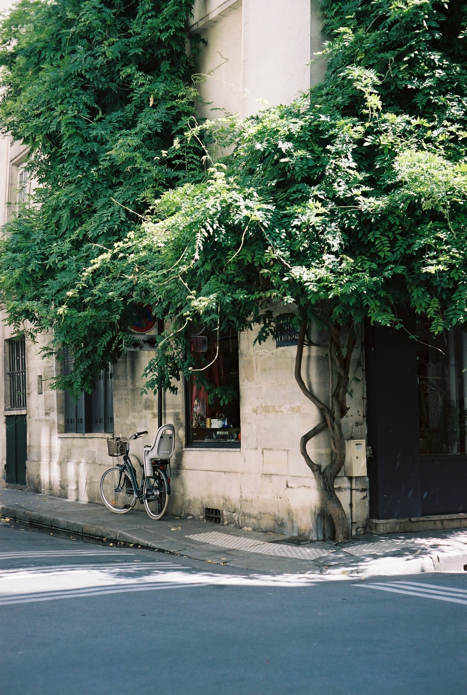 Analog photo of Parisian street with bike