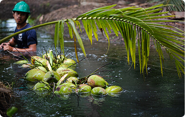 Иновации с мисъл за клиента
