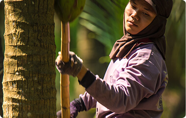 Прецизно майсторство
