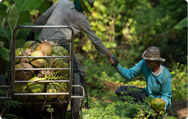 Честност и прозрачност