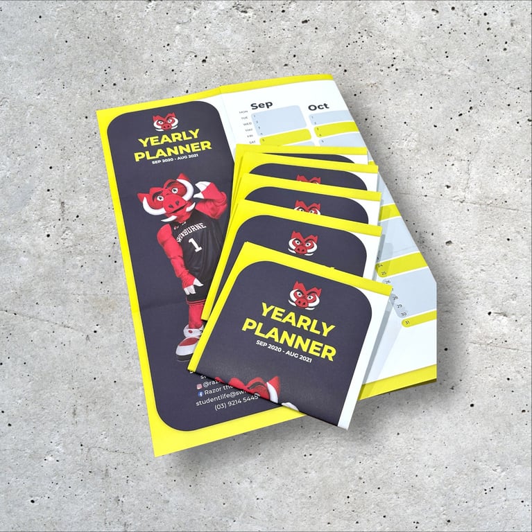 portfolio3
