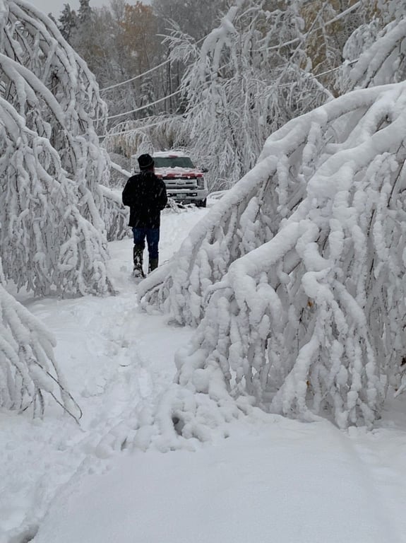 曼尼托巴省暴风雪致3000用户停电