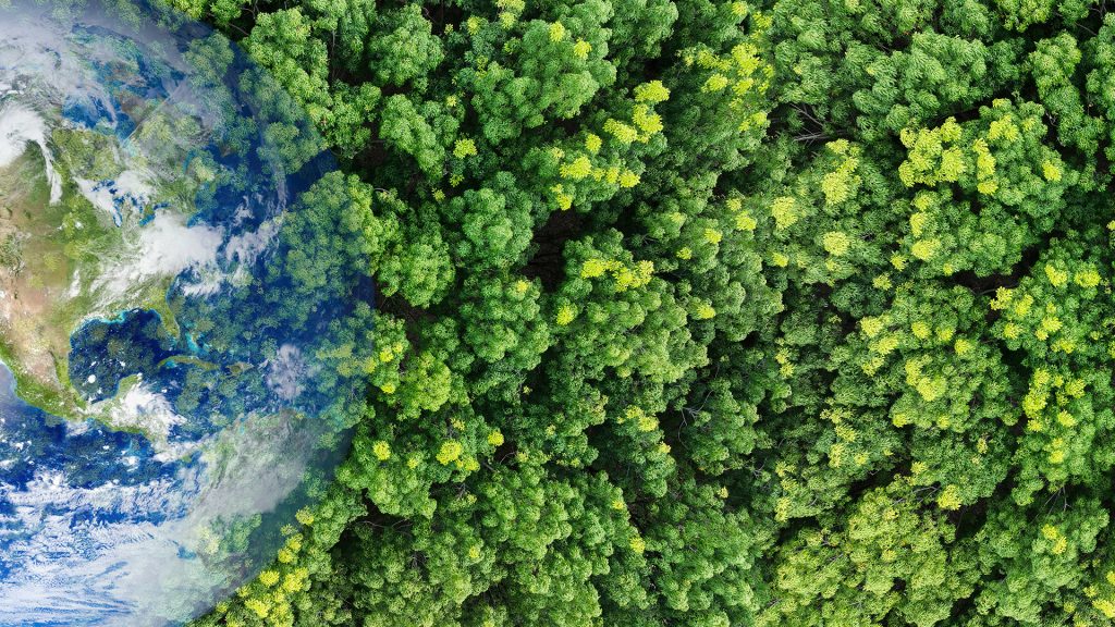 约克大学全球与环境健康实验室：应对健康不平等
