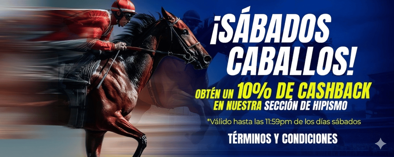 Términos y condiciones: 