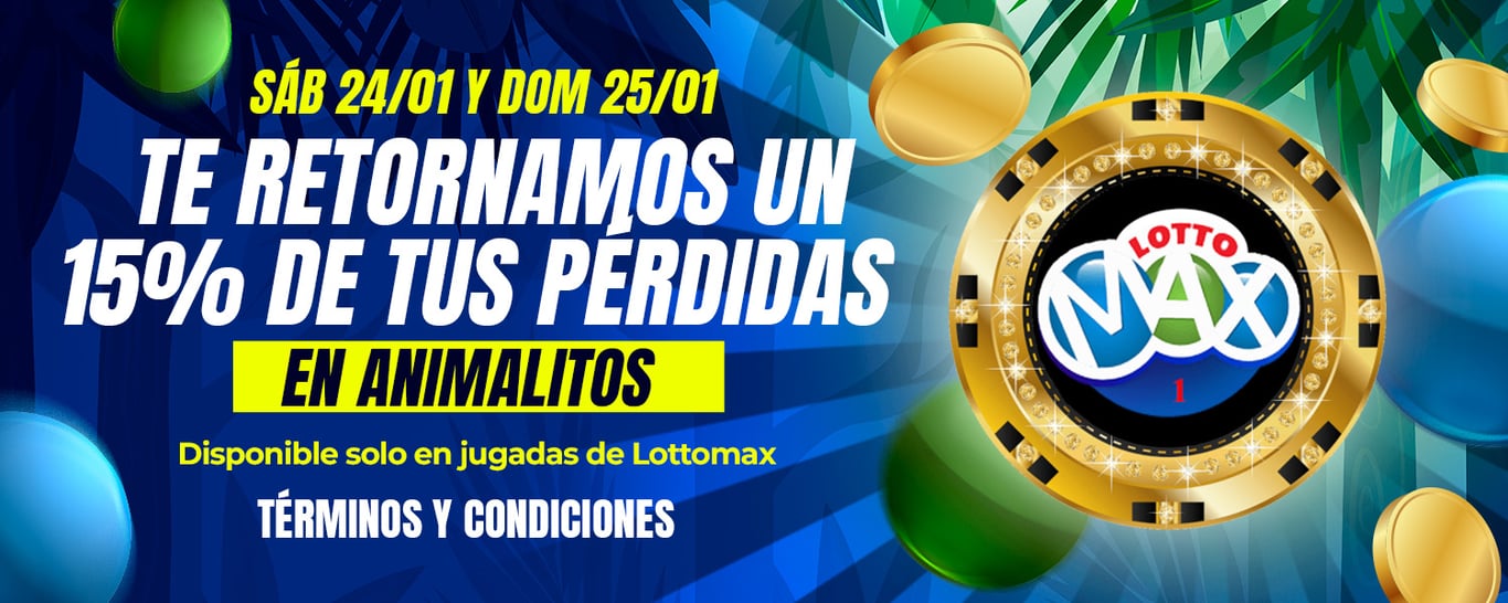 Términos y Condiciones: 